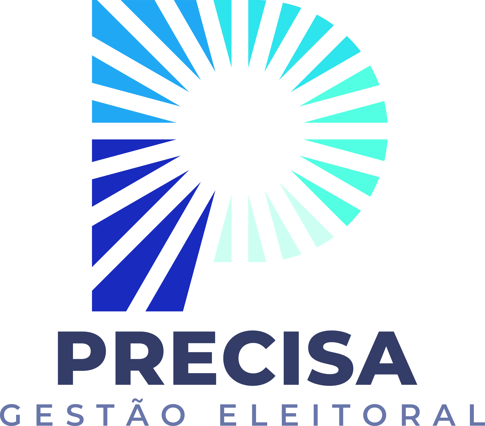 Precisa Gestão Eletoral